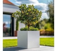 Woven Wood 60Cm Zinc Galvanised Matte White Square Planter