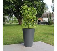 Woven Wood 65Cm Half Barrel Oak Rustic Band Tree Planter
