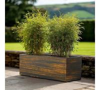 Woven Wood 75cm Zinc Hand Finished Brushed Grey & Gold Trough Planter Woven Wood Grey