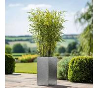 Woven Wood 75cm Zinc Silver & Black Textured Tall Square Planter Woven Wood Black