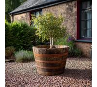 Woven Wood 90Cm Giant Half Barrel Oak Tree Planter