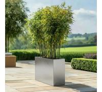 Woven Wood 90cm Long Zinc Galvanised Brushed Silver 60cm Tall Trough Planter Woven Wood Silver