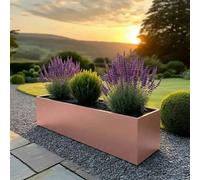 Woven Wood Rose Gold Zinc Trough Planter (L) 100Cm X (H) 40Cm X (D) 40Cm With Liner
