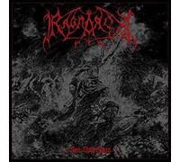 "Wow" Unique Grey Sock / Skin / Case suitable for Samsung G508