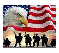 WOWDECOR 5D Diamond Painting Kits, American Flag Soldiers Bald Eagle Full Drill DIY Diamond Art Cross Stitch Paint by Numbers