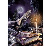 WOWDECOR 5D Diamond Painting Kits, Bald Eagle Owl Castle Magic Book Glasses Candle Light Animals Full Drill DIY Diamond Art Cross Stitch Paint by Numbers
