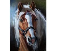 WOWDECOR 5D Diamond Painting Kits, Beautiful Horse Animals Full Drill DIY Diamond Art Cross Stitch Paint by Numbers