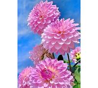 WOWDECOR 5D Diamond Painting Kits, Beautiful Pink Dahlia Flowers Blue Sky Full Drill DIY Diamond Art Cross Stitch Paint by Numbers