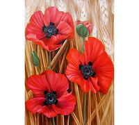 WOWDECOR 5D Diamond Painting Kits, Beautiful Red Poppy Flowers Full Drill DIY Diamond Art Cross Stitch Paint by Numbers