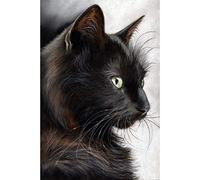 WOWDECOR 5D Diamond Painting Kits, Fat Black Cat Full Drill DIY Diamond Art Cross Stitch Paint by Numbers