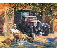 WOWDECOR Art Supplies Yard Car Old Men & Dog DIY Paint by Numbers Kits 40 x 50cm with Painting Brushes Canvas (No Frame)