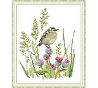 WOWDECOR Cross Stitch Embroidery Kits for Adults Kids, Little Bird Birds Flowers 11CT Stamped DIY DMC Needlework Easy Beginners