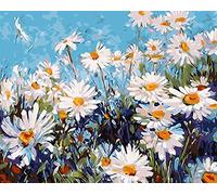 WOWDECOR Paint by Numbers Kits, DIY Number Painting - Wild White Daisies Flowers 40 x 50 cm - New Stamped Canvas (Framed)
