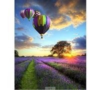 WOWDECOR Paint by Numbers Kits, DIY Oil Painting - Sunset Purple Lavender Flowers Hot Air Balloon 16x20 inch (Z47, Frameless)