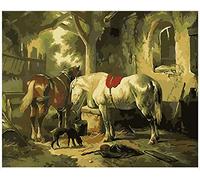 WOWDECOR Paint by Numbers Kits for Adults Kids, Diy Oil Painting - Stable White Brown Horse Black Dog 16x20 inch (7037, Frameless)