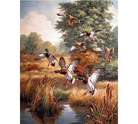 WOWDECOR Paint by Numbers Kits for Adults Kids, Number Painting - Ducks Forest Lake 16x20 inch (Framed)