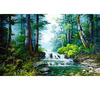 WOWDECOR Paint by Numbers Kits for Adults Kids, Number Painting - Forest Green Trees Stream Landscape 16x20 inch (Frameless)