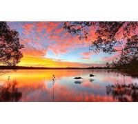 WOWDECOR Paint by Numbers Kits for Adults Kids, Number Painting - Sunset Sea Love Birds Landscape 16x20 inch (Frameless)