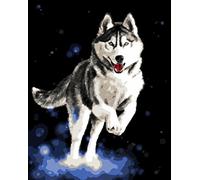 WOWDECOR Paint by Numbers Kits, Number Painting - Husky Dog 16x20 inch (Frameless)