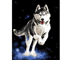 WOWDECOR Paint by Numbers Kits, Number Painting - Husky Dog 16x20 inch (Frameless)