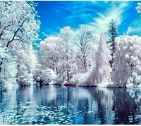 WOWDECOR Paint by Numbers Kits, Number Painting - Winter White Snow Lake Trees Landscape 16x20 inch (Frameless)