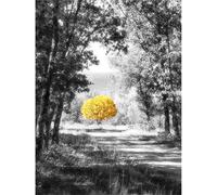 WOWDECOR Stamped Cross Stitch Kits for Adults Beginners, Pre Printed Yellow Tree on Forest Trail 11ct 30x40cm Pattern DIY Embroidery Starter Kit Needlework Set