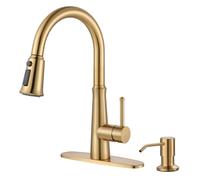 WOWOW Gold Single Lever Stainless Steel Sink Tap with Pull Down Sprayer 2 or 4 Holes Pull Out Kitchen Tap with Deck Plate and 3 Functions