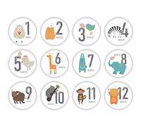 WOWOWO 12 Pcs Baby Pregnant Monthly Stickers Memory Recording Milestone Sticker Props