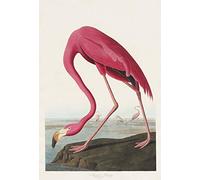 WowPosters American Flamingo Poster Retro Wall Art Vintage Style Home Decor Print (30x40 cm)