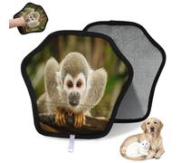 WowPrint Jungle Squirrel Monkey Pet Hair Removal Glove for Cat Dog Funny Monkey Reusable Electrostatic Pet Hair Gloves Brush Tool for Couch Clothing Carpet Furniture Car Seat 1 Pack
