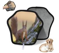 WowPrint Red Squirrel Pet Hair Removal Glove for Cat Dog Cute Squirrel Reusable Electrostatic Pet Hair Gloves Brush Tool for Couch Clothing Carpet Furniture Car Seat 1 Pack