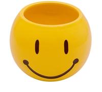 Wowser Yellow Happy Face Plant, Fun Unique Decor, Cute Freestanding Tabletop Decoration, 5 Inches