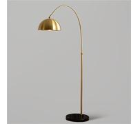 WOYHZXT Standard Lamps Living Room Arch Floor Lamps with Remote Dimmable Floor Lamp 170Cm Brass Lamp with Adjustable Hanging Metal Shade Arc Lamps Floor Standing with 12W Bulb Over Couch L