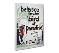 Wpa Bird Of Paradise Theatre Poster Vintage Canvas Wall Art Print Ready to Hang, Framed Picture for Living Room Bedroom Home Office Décor, 24x16 Inch (60x40 cm)