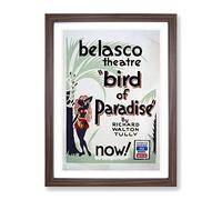 Wpa Bird Of Paradise Theatre Poster Vintage Framed Print | A2 Walnut Framed Wall Art | Ready to Hang | Classic Nature Picture | Living Room Bedroom Lounge Office