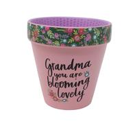 WPL Gifts Love Plants Small Flower Planter Pots - Fun Quotes & Humour in Pastel Colours - with Optional Coaster Add On - Perfect Floral Home Decor (Grandma You Are Blooming)