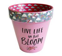 WPL Gifts Love Plants Small Flower Planter Pots - Fun Quotes & Humour in Pastel Colours - with Optional Coaster Add On - Perfect Floral Home Decor (Live Life In Full Bloom)