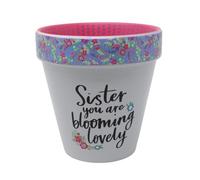 WPL Gifts Love Plants Small Flower Planter Pots - Fun Quotes & Humour in Pastel Colours - with Optional Coaster Add On - Perfect Floral Home Decor (Sister You Are Blooming)