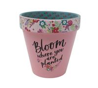 WPL Gifts Love Plants Small Flower Planter Pots - Fun Quotes & Humour in Pastel Colours - with Optional Coaster Add On - Perfect Floral Home Decor (Bloom Where you Are Planted)