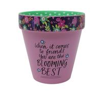 WPL Gifts Love Plants Small Flower Planter Pots - Fun Quotes & Humour in Pastel Colours - with Optional Coaster Add On - Perfect Floral Home Decor (When It Comes To Friends)