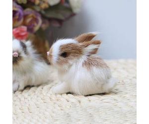 Wpppan Mini Simulation Rabbits, Realistic Cute Rabbits Lifelike Bunny Realistic Rabbit Miniatures, White Home Party Decors Model Gift Miniatures Decorations