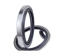 WQGQPXOB 1pcs Rotating Shaft ID:32/34*OD:46/47/50 * 7/8/10mm 304 Stainless Steel PTFE Oil Seal(Cdl,32X47X8)