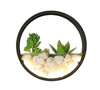 WQHPLMD Classic Rustic Wall Lighting Creative Round Plant Wall Lamp Iron Lamp Body Personality Bedroom Bedside Sconce Living Room LED Wall Lamp