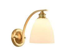 WQHPLMD Double-Headed Decorative Wall Sconce with Glass Lampshade - Classic Rustic LED Light