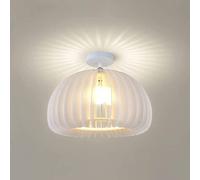 WQHPLMD Pumpkin Ceiling Lamp Metal Cage Acrylic Semi Flush Mount Ceiling Light Close to Ceiling Lighting Fixture for Kitchen Island Hallway Bedroom Entryway