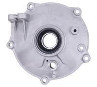WQSING Rear Brake Plate Panel Compatible with Honda Recon 250 TRX250EX TRX250X TRX250 TRX250TM/250TE 1997-2023 Sportrax 43010-HM8-000 Drum Cover