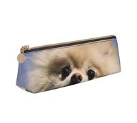 WQUVMDS Cute Pomeranian Print Leather Pencil Case Triangular Zipper Pen Bag Cosmetic Case Pouch Stationery Bag