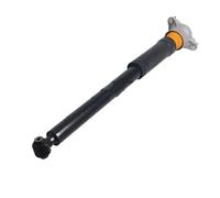 WQZzjm Front Rear Shock Absorbers Kit For Mercedes For Benz For A-CLASS B-CLASS W117 W176 W242 W246 A2463201831 A2463232900 A2463233000 Rear Shock Absorber(Rear R) (Rear R)