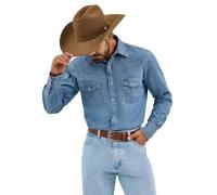 Wrangler Men's Ms70719 button down shirts, Blue, L Tall UK
