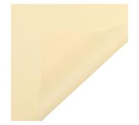 Wrapping Paper, Florist Flower Wrapping Paper Multicolor 56x56cm 20pcs Thickened Translucent(Beige)
